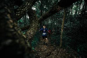 BIB: 
                            <button type="button" onclick="openModal(25683871)" class="btn btn-primary btn-sm float-right btn-popup" data-toggle="modal" data-target=".modal-high-quality">
                        <i class="fas fa-shopping-cart"></i> Add to Cart
                    </button>
                                            <button type="button" onclick="isThisMe(25683871, true)" class="btn btn-success btn-sm float-right btn-popup btn-isme hidden" data-toggle="tooltip" data-placement="bottom" title="นี่คือรูปของคุณใช่ไหม คลิกที่นี่เพื่อเอาเข้าอัลบั้ม">
                        <i class="fas fa-plus"></i> Add to album
                    </button>
                    <button type="button" onclick="isThisMe(25683871, false)" class="btn btn-warning btn-sm float-right btn-popup btn-isnotme hidden">
                        <i class="fas fa-ban"></i> Remove from album
                    </button>